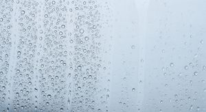Window Cleaner